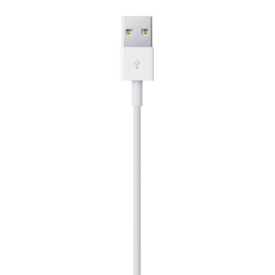 Apple Lightning To USB Cable 2 M